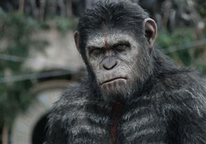 بالصور- أكثر 20 فيلماً حققوا أعلى ايرادات في السينما الأمريكية 2014