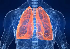 6 نصائح لسلامة الجهاز التنفسي (انفوجراف)