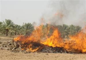 البيئة: الحبس سنة وغرامة مائة ألف جنيه عقوبة حرق المخلفات الزراعية