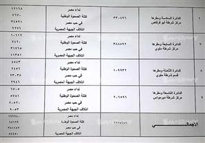 بالأرقام.. "في حب مصر" تكتسح في كل دوائر المنيا 