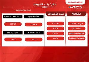 4 مرشحين يتنافسون في الإعادة ببندر الفيوم.. و"في حب مصر" تتصدر النتيجة