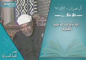 تفسير الشعراوي عقاب الله للمفسدين