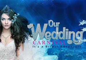 انتظروا تغطية مصراوى غداً لمؤتمر "Our Wedding Carnival" 