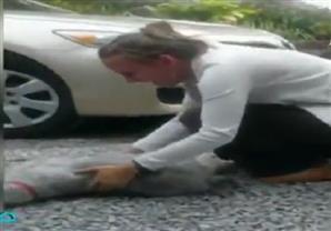 كلب تنتابه حالة من الفرح الشديدة بعد عودة فتاة من أحد افراد الأسرة