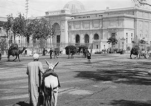 حمار وراء "إحنا دفنينه سوا".. اعرف القصص وراء الأمثال