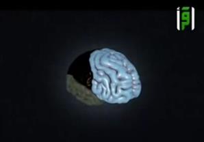 شاهد ماذا يحدث للمخ أثناء الخشوع