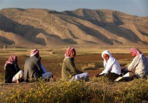 كردستان: تحرير آلاف اليزيديين المختطفين لدى داعش