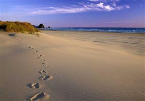  رمال الشواطئ تحتوي على بكتريا .. اكتشف