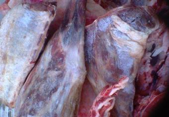 ضبط صاحب محل جزارة بدمياط بتهمة الغش التجاري