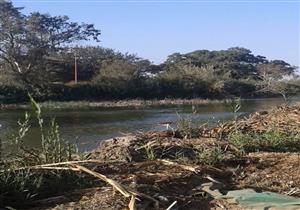 شكاوى من مزارع سمكية بدائية في المنوفية.. والري: حالات فردية (صور)