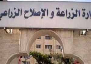 الزراعة تطرح كميات من اللحوم وياميش رمضان بمنافذ الوزارة بأسعار تنافسية