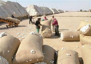 وزير الزراعة: حظر نقل أقطان الزهر من الوجه القبلي الى البحري