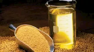 دراسة تكشف خطورة الطهي بـ زيت الصويا 