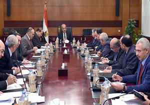 بالصور- "الوزراء" يستعرض المقترحات الخاصة بتوسع زراعة المحاصيل الاستراتيجية