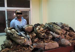 القبض على سائق أخفى ربع طن بانجو في أتوبيس بالسويس