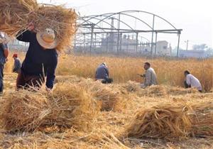 ​البيئة تهيب بالمزارعين بعدم حرق المخلفات الزراعية نظرا للعوامل الجوية