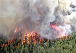 البرازيل تسحب فرق الطوارئ التي نشرتها لإخماد حرائق الغابات