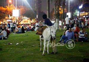 على هامش كأس العالم.. كيف احتفل "الحمار" بالصعود؟