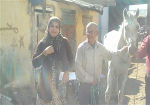 بالصور- أهملها أصحابها.. "الطب البيطري" يتحفظ على 3 أحصنة في بورسعيد