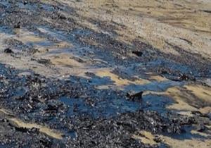 "البيئة": رصدنا بقعة زيت على شاطئ نادي التجديف بالسويس