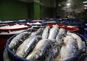 7 نصائح من "الصحة" لتناول الفسيخ: "المغشوش قد يؤدي للوفاة"