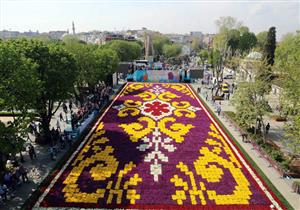 بالصور.. تعرف على أكبر سجادة "توليب" في العالم‎