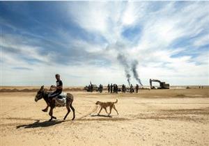 صورة وخبر: حمار وكلب في رحلة نزوح بالموصل