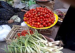 "مجنونة يا قوطة".. باعة وسيدات يهجرون الطماطم بعد ارتفاع سعرها 