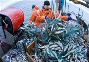 الاتحاد الأوروبي: 93% من الثروة السمكية في البحر المتوسط تعرضت للصيد الجائر