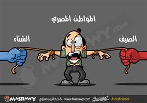 المواطن المصري