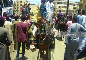 بالصور.. في مسيرة "حب" صوفية.. الآلاف يطوفون الأقصر في "دورة أبو الحجاج"