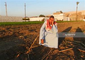 بالصور.. "العطش" يهدد محصول القمح بقرى جنوبي المنيا.. والفلاحون يستغيثون بالرئيس