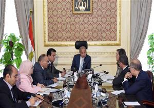 ​مجلس الوزراء: إخلاء المقر الحالي لمدينة زويل والتابع لجامعة النيل بعد 4 أشهر 