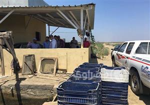 بالصور.. صيادو بحيرة المنزلة: "إلحقونا.. مستقبلنا في خطر"