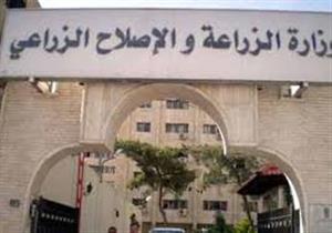 الزراعة: 2.8 مليون فدان منزرعة بالمحاصيل الصيفية حتى الآن