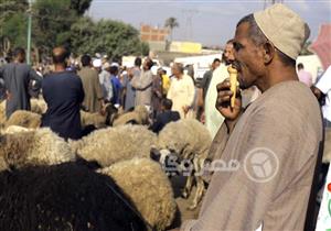 في سوق المناشي.. "أضحية" للبيع (صور)