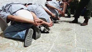ضبط 3 أشخاص بحوزتهم 22 فرش حشيش وأسلحة نارية في كفر الشيخ