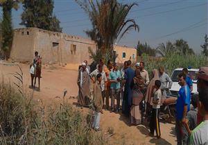 مصادر بيئية تكشف مصير تمساح الإسماعيلية.. وسبب وجوده بترعة "الكسارة" - صور