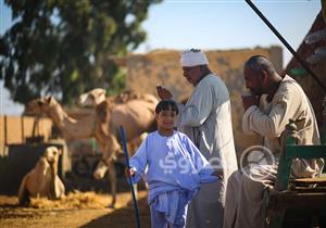 بالصور-  برقاش.. الجمال في انتظار العيد