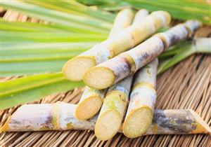 تصاعد أزمة توريد قصب السكر.. والبرلمان يتوسط للحل