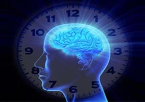 أستاذ طب نفسي: الخلايا العصبية مسؤولة عن عمل الساعة البيولوجية