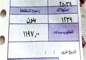 بالتفاصيل.. 7 خطوات للتعامل مع "خطأ" فاتورة الكهرباء