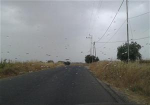 أمطار خفيفة على أنحاء بني سويف