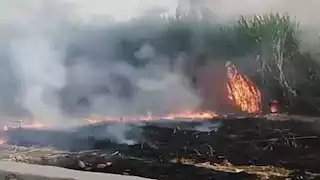 السيطرة على حريق هائل التهم حشائش وأشجار بأرض زراعية في المنيا