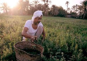 الانتهاء من إعداد 50% من بيانات المزارعين لإصدار الكارت الذكي في القليوبية