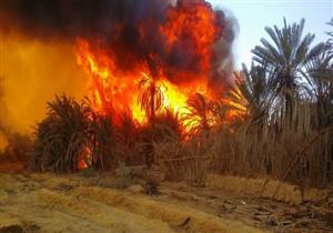 طوارئ بمستشفى الداخلة العام واستدعاء الأطباء بعد حريق الراشدة بالوادي الجديد