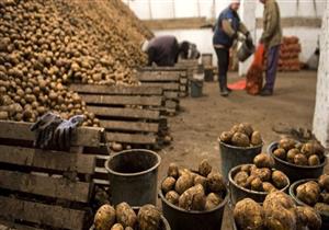 بعد أزمة البطاطس.. جهاز الاحتكار على خط المواجهة مع مصدري الحاصلات