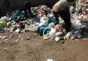 بالصور- القمامة تُحاصر شركة مياه الشرب في المنيا.. ومسؤول: نقطة تجميع