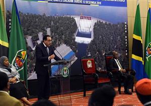 مدبولي: تنفيذ سد "ستيجلر جورج" وفقًا لأعلى المعايير العالمية 