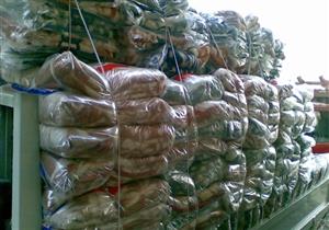 "مستقبل وطن" يدشن مبادرة "شتاء دافئ" في الأقصر